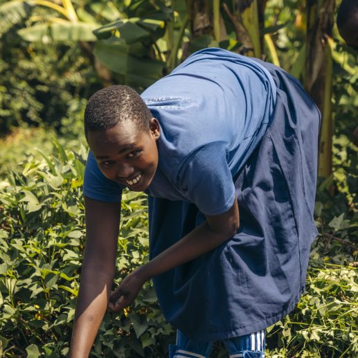 PWC - Education - 46